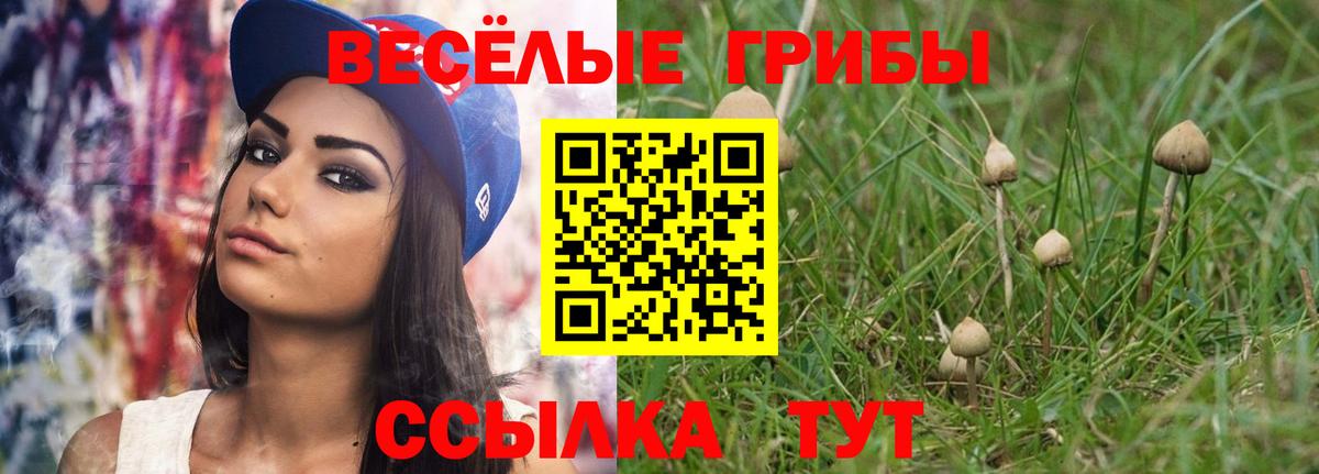 Псилоцибиновые грибы Psilocybe Осинники